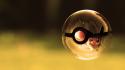 Pokemon ball pikachu wallpaper