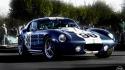 Shelby cobra blue cars number racing stripes wallpaper