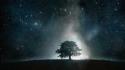 Artwork nature outer space stars trees wallpaper