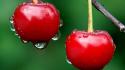 Cherries wet wallpaper