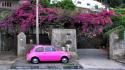 Fiat 500 italia italy flowers pink wallpaper
