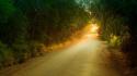 Forests nature roads sunset trees wallpaper