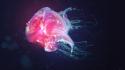 Justin maller motion abstract jellyfish underwater wallpaper