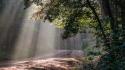 Mississippi area forests landscapes light rays wallpaper