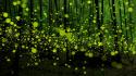 Asia japan fireflies forests nature wallpaper