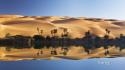 Bing deserts landscapes palm trees reflections wallpaper