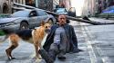 I am legend will smith actors dogs movies wallpaper