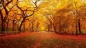 Autumn nature wallpaper