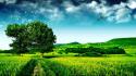 Awesome green landscape wallpaper