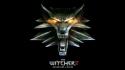 Assassins of kings the witcher 2 games wallpaper
