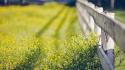 Depth of field fences flowers nature wooden fence wallpaper