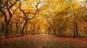 Fall foliage pictures wallpaper