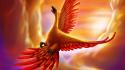 Fantasy art golden phoenix wallpaper