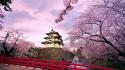 Hirosaki castle japan cherry blossoms landscapes nature wallpaper