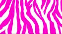 Pink zebra print wallpaper