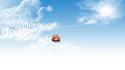 Afternoon balloons clouds skyscapes text wallpaper