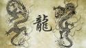 Asian art dragons wallpaper