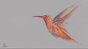Colibris bird wallpaper