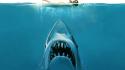 Concept art funny jaws sharks swimming wallpaper