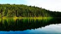 Forests lakes landscapes water wallpaper