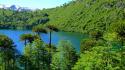 Chile blue forests green lagoon wallpaper