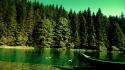 Forests green lakes nature wallpaper