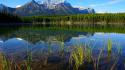 Forests lakes landscapes mountains nature wallpaper