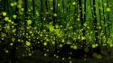 Japan bokeh fireflies forests landscapes wallpaper