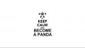 Keep calm and panda bears simple background text wallpaper
