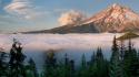 Mt. hood national geographic oregon fog forests wallpaper