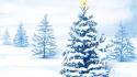 Christmas Snow Trees wallpaper