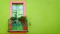 Green Wall Window Hd wallpaper