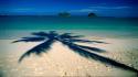 Nature beach hawaii shadows palm trees seascapes oahu wallpaper