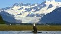 Alaska eagles landscapes mendenhall glacier mountains wallpaper