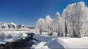 Landscapes nature skyscapes snow trees wallpaper