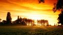 Sun fields forests landscapes nature wallpaper