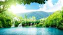 Forests green lakes nature water wallpaper