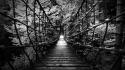 Germany architecture black and white bridges grayscale wallpaper