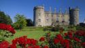 Ireland kilkenny castle roses wallpaper