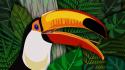 Birds ferns multicolor toucans vectors wallpaper