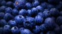 Blueberries fruits macro water drops wallpaper
