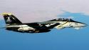 F14 tomcat grumman f14 aircraft fighter jets military wallpaper